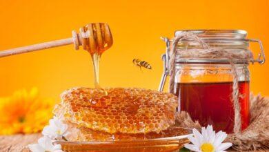 Premium Iranian Honey export