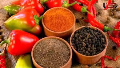 Premium Iranian Pepper export