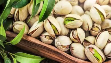 Premium Iranian Pistachio export
