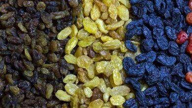 Premium Iranian Raisin export