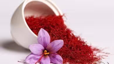 Premium Iranian Saffron export