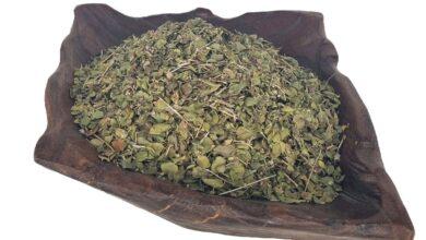 Premium Iranian Thyme exports