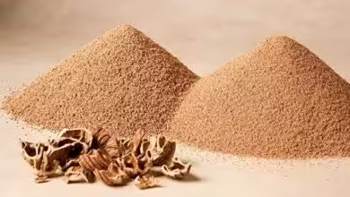 Premium Iranian walnut shell export