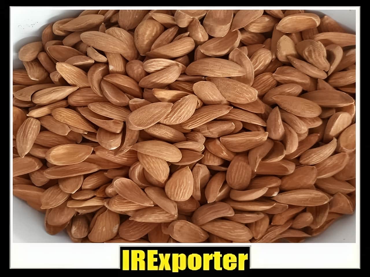 Export almond shopping center