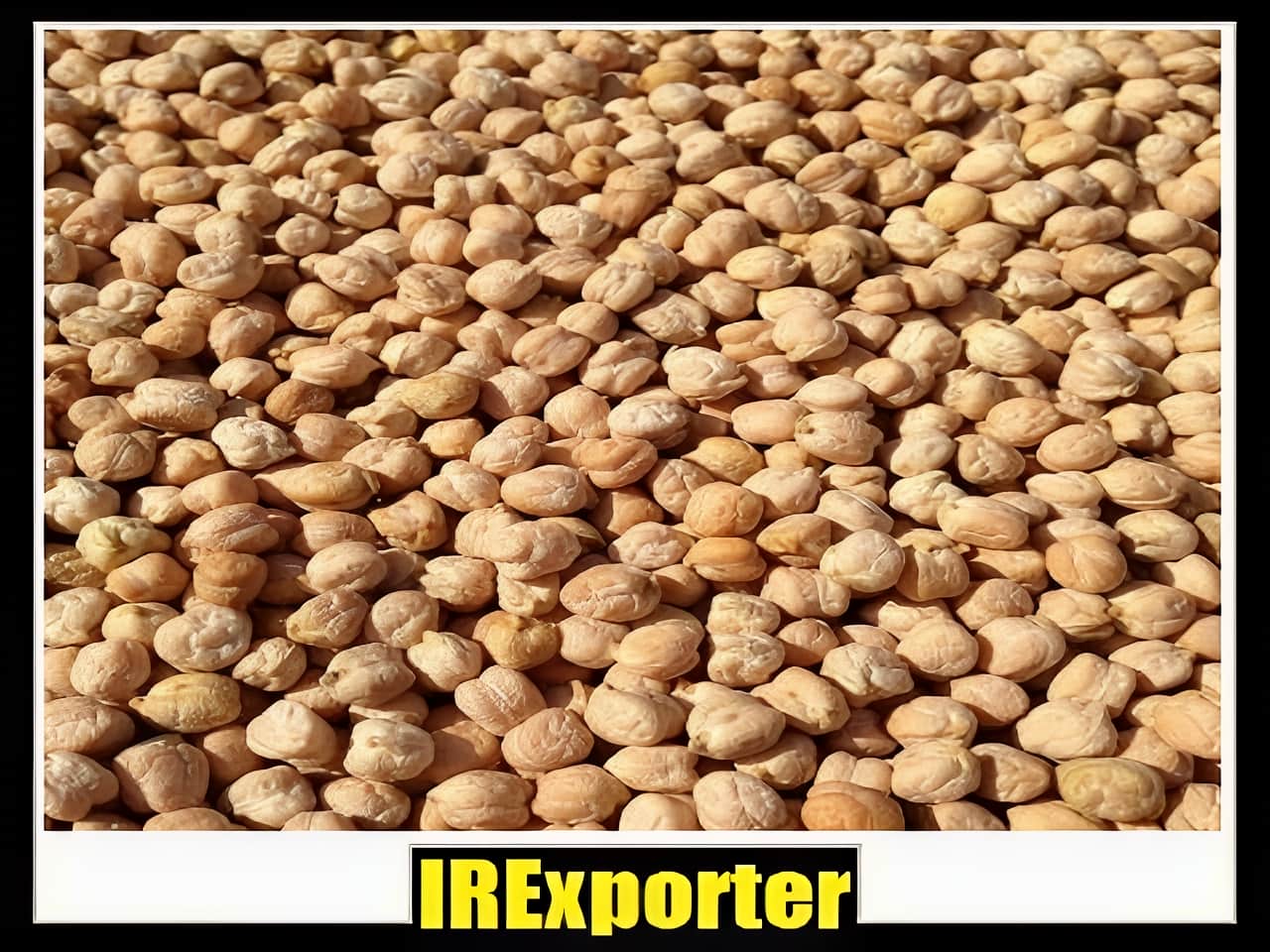 Export chickpeas sales
