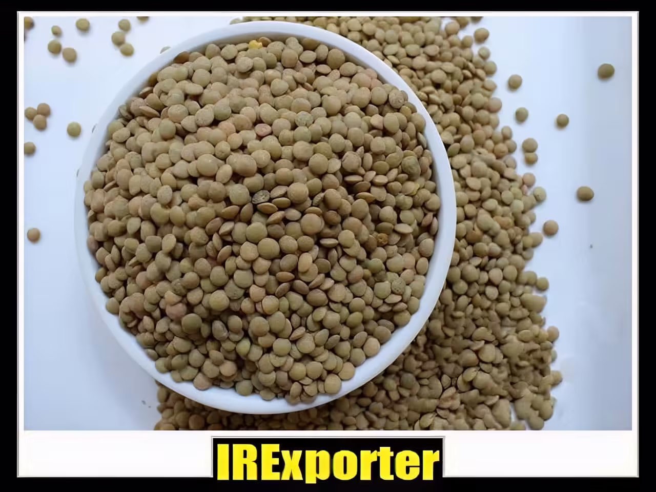 Export lentils sales
