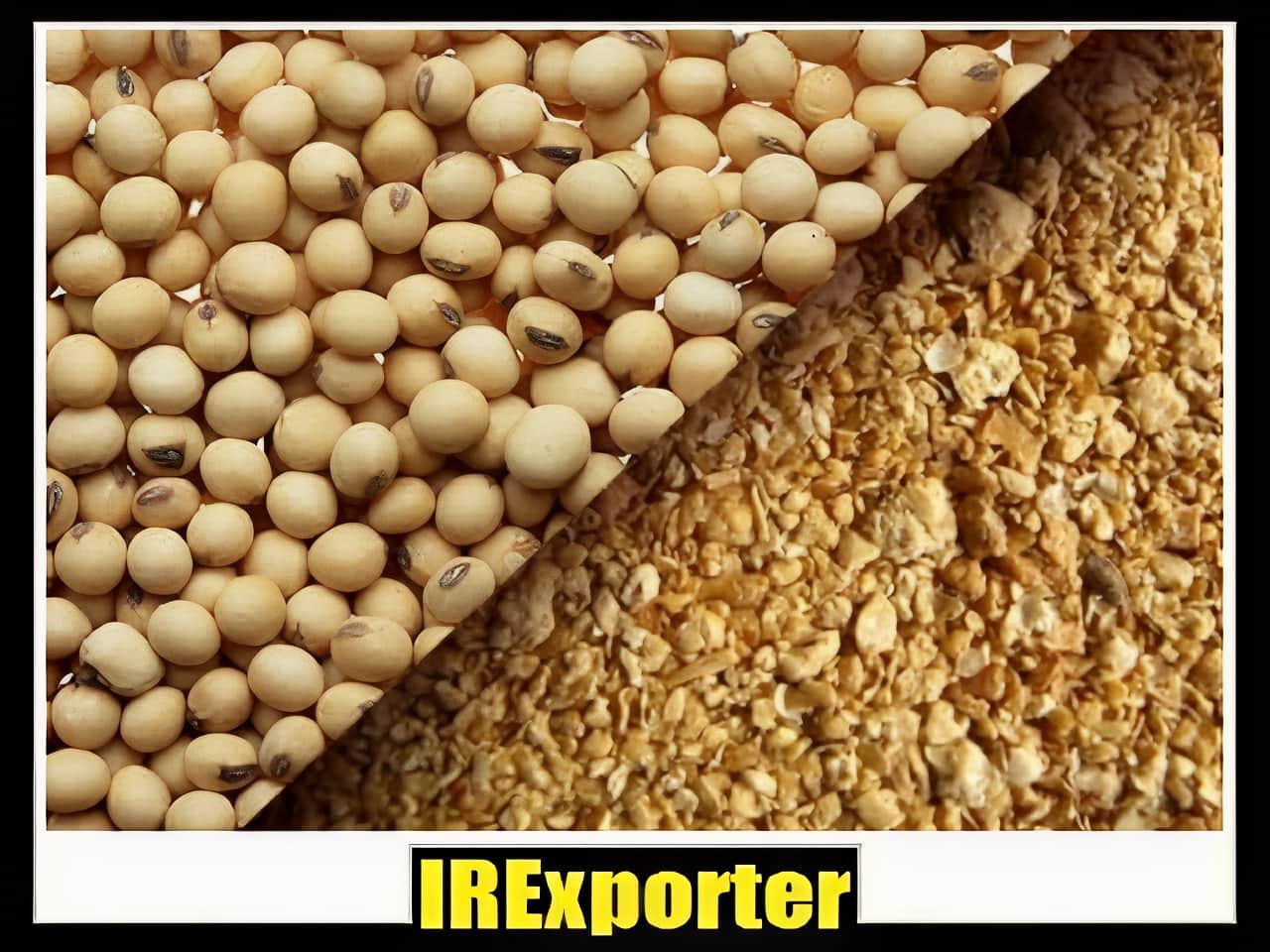 Export soybean shopping center