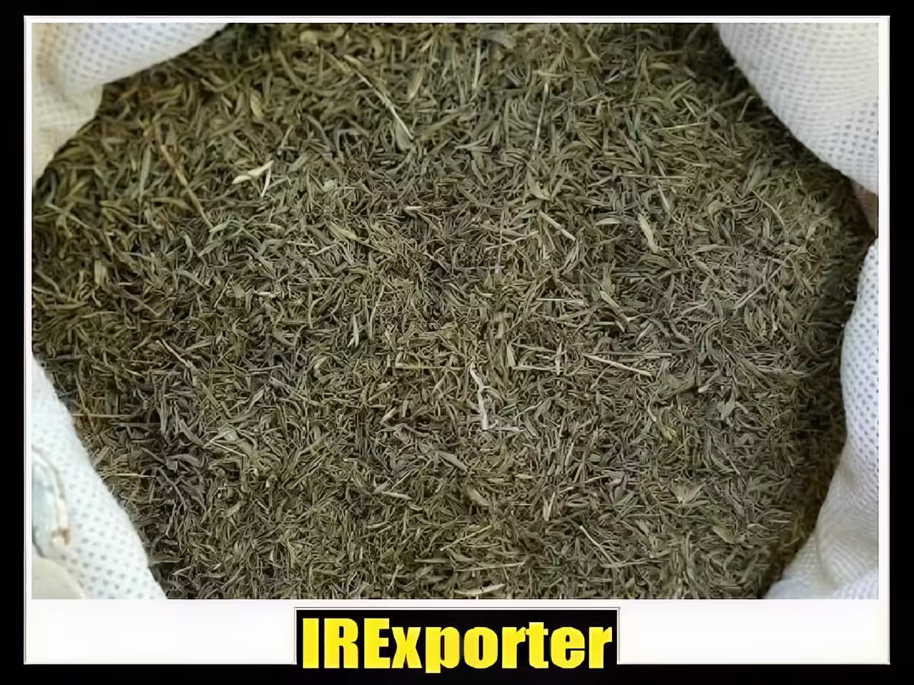 Iran thyme exporter exchange