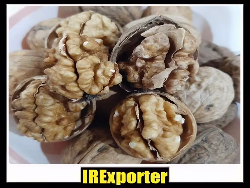 Export walnut sales